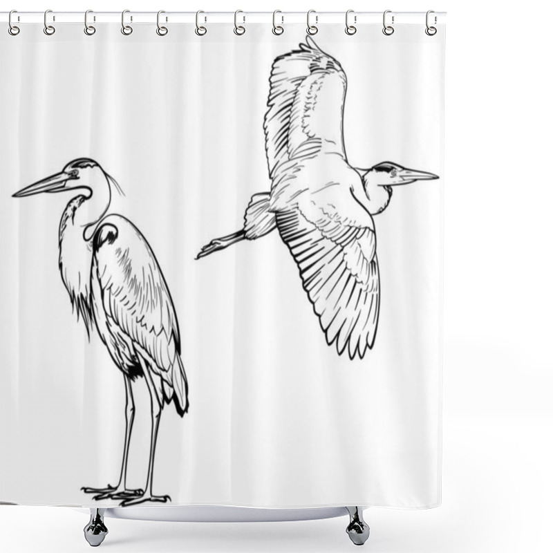 Personality  Heron Sketch. Vector Illustration Of Birds Isolated On White Background. Shower Curtains