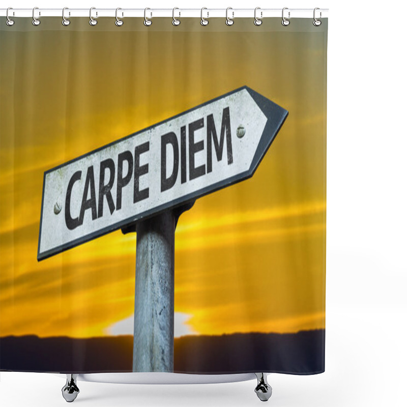 Personality  Carpe Diem Sign Shower Curtains