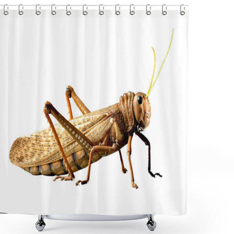 Personality  Locust Shower Curtains