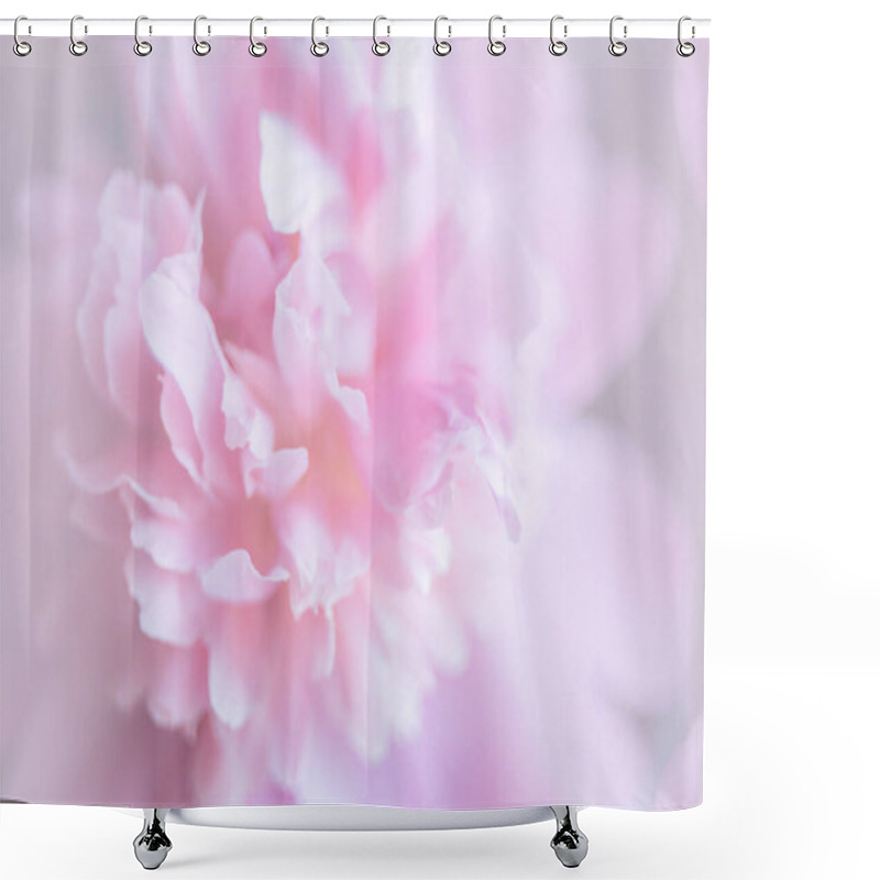 Personality  Minimalistic Background With Fresh Bright Blooming Peonies Flowers. Macro. Close-up. Floral Background For Postcard, Lettering, Painting, Wedding Card, Banner, Flower Shop. Peony Petals Close Up. Shower Curtains