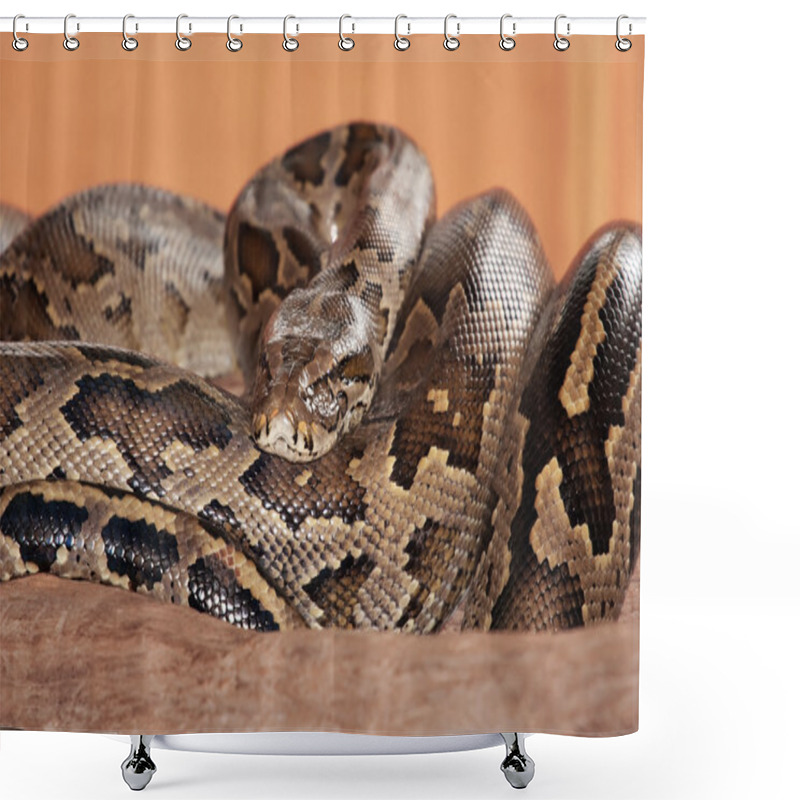 Personality  Snake Shower Curtains