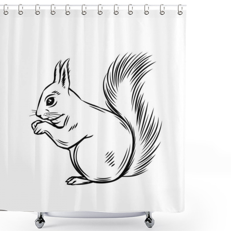 Personality  Squirrel Forest Animal. Wild Rodent Ink Illustration. Vector Wild Shower Curtains