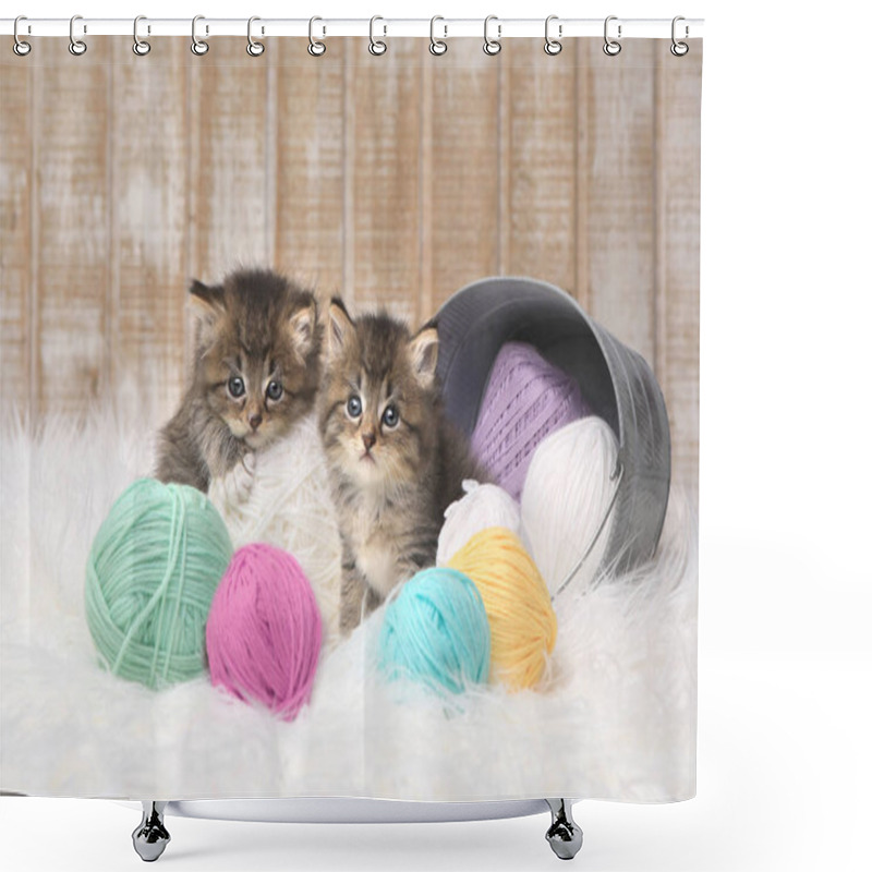 Personality  Kittens With Balls Of Yarn In Studio Shower Curtains