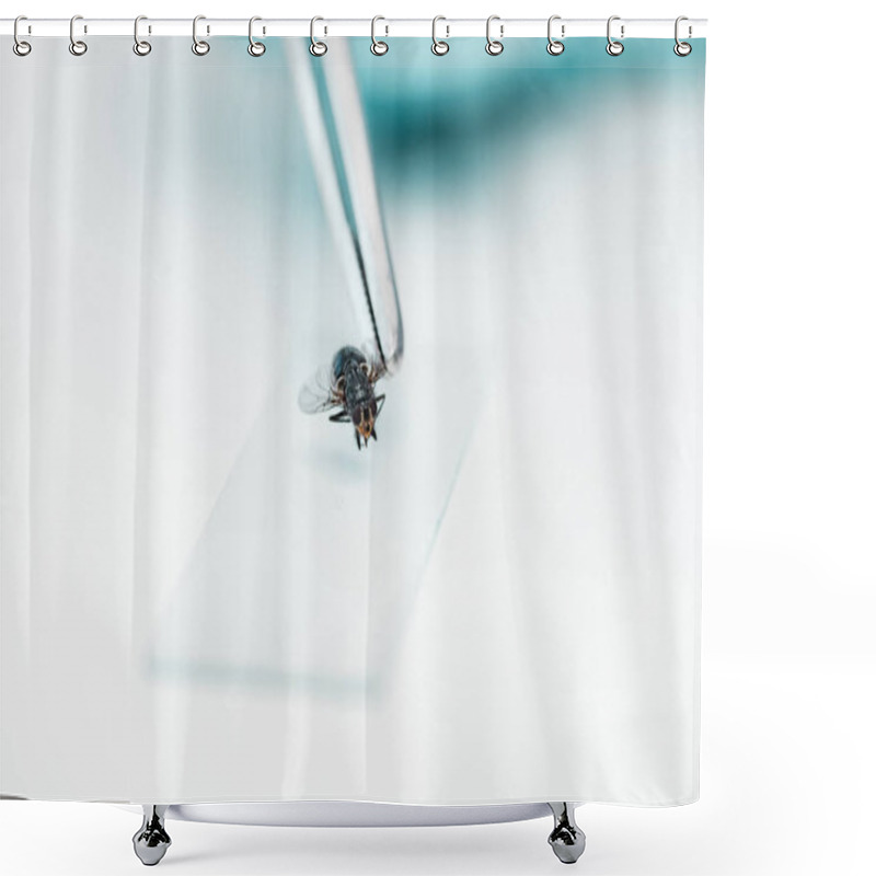 Personality  Experiment With Fly In Laboratory Shower Curtains