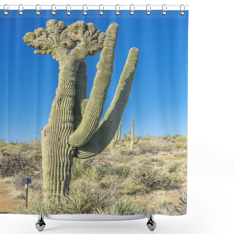 Personality  The Giant Crested Saguaro Plant In The Desert Under The Blue Sky Shower Curtains