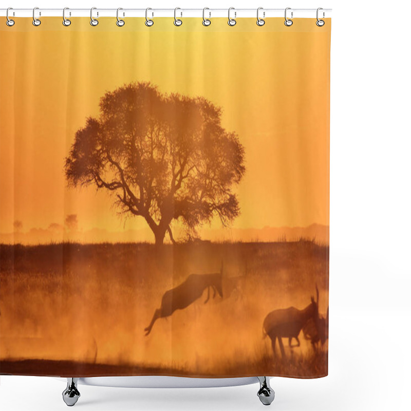 Personality  Silhouettes Of Jumping Gazelles At Misty Golden Sunset  Shower Curtains