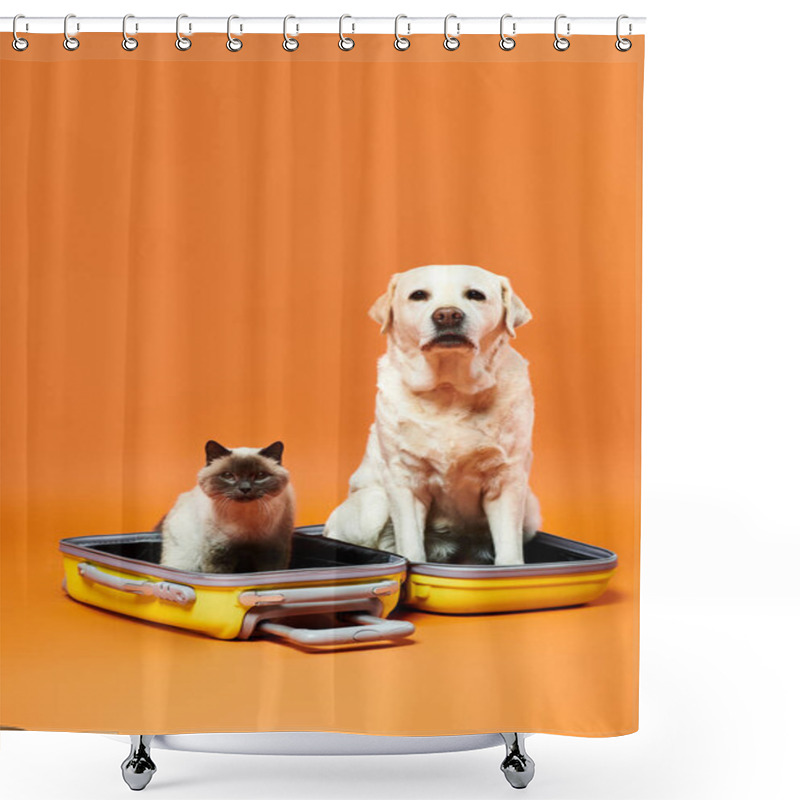 Personality  A Dog And A Cat Sit Peacefully Side By Side Inside A Vibrant Suitcase In A Cozy Studio Setting. Shower Curtains