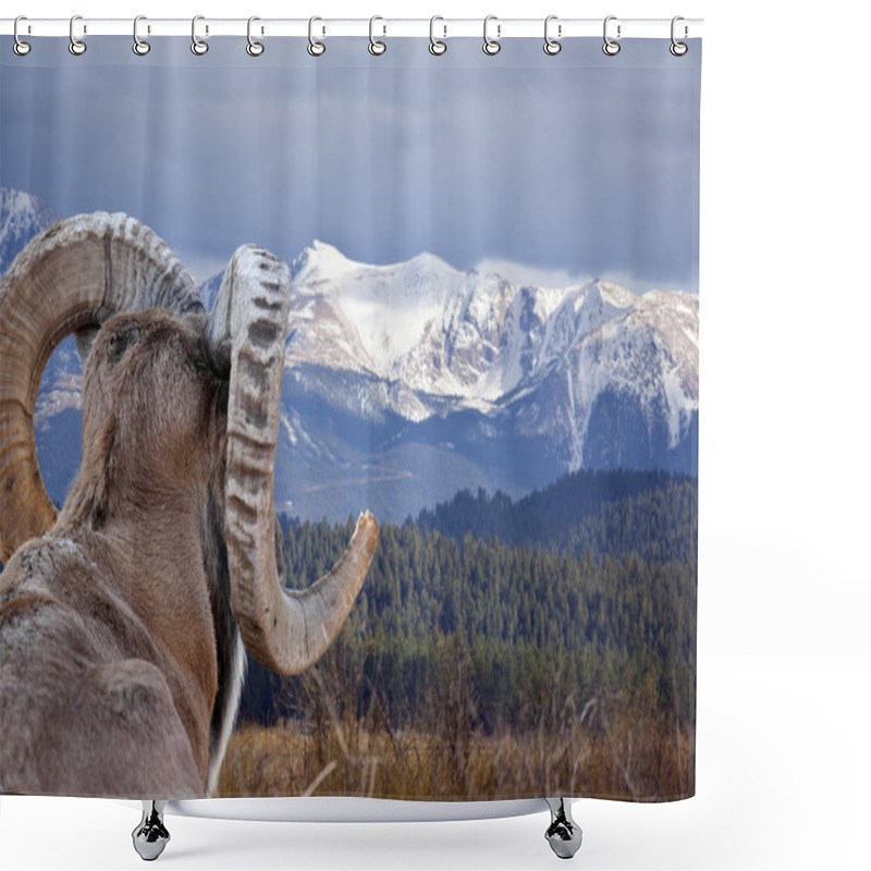 Personality  Bighorn Sheep Shower Curtains