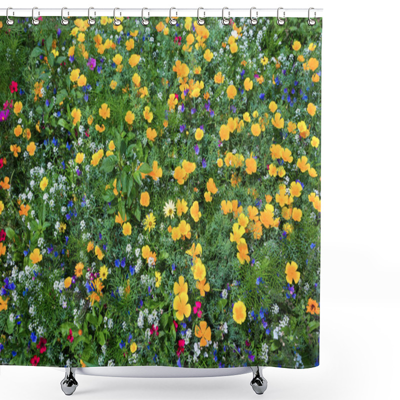 Personality  Meadow With Blooming Flowers Shower Curtains