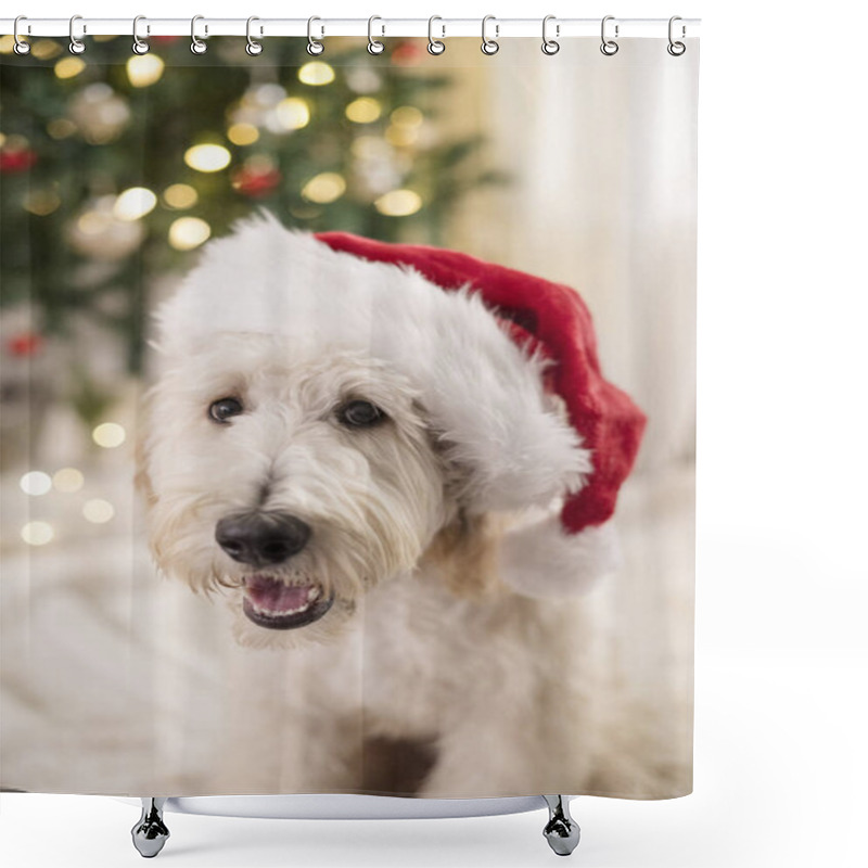 Personality  Close Up Of Happy Dog Wearing Santa Claus Hat Shower Curtains