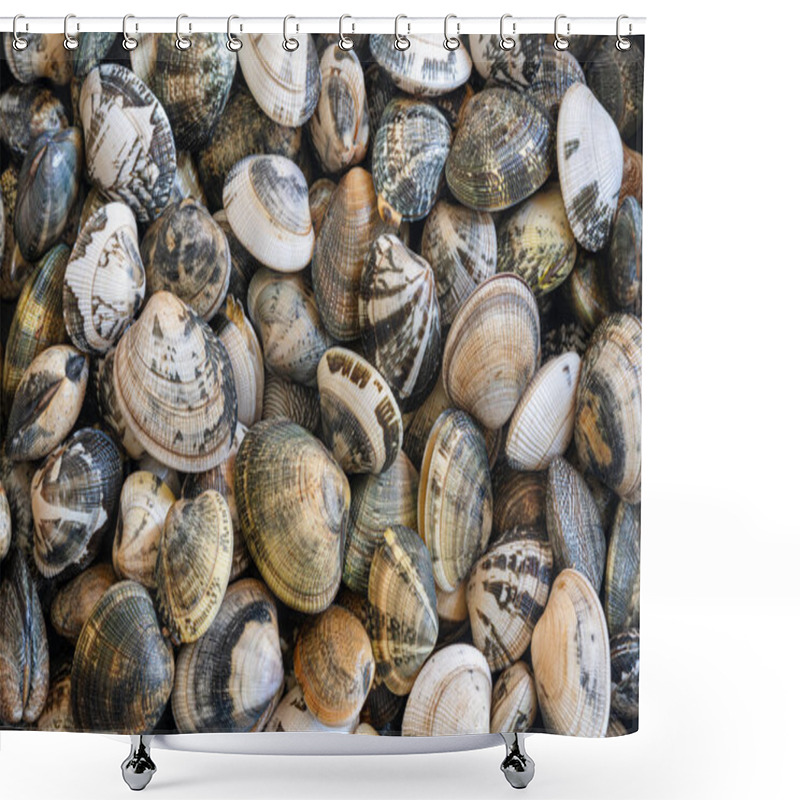 Personality  Fresh Clams Seafood Background, Bivalve Molluscs Closeup Texture, Seashells Pattern Shower Curtains