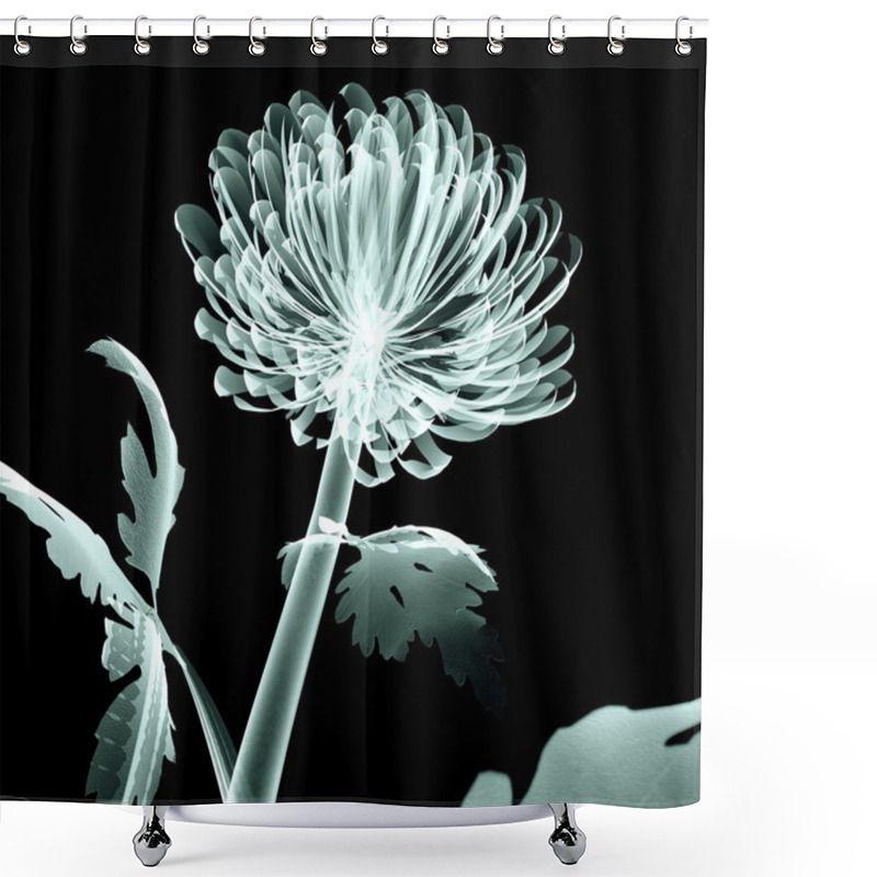 Personality  X-ray Image Flower Isolated On Black , The Pompon Chrysanthemum Shower Curtains