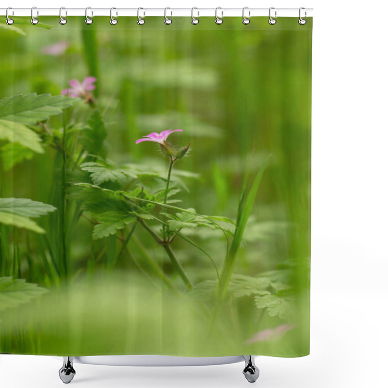 Personality  Close Up Of A Flower With The Word Wild On The Bottom. Shower Curtains