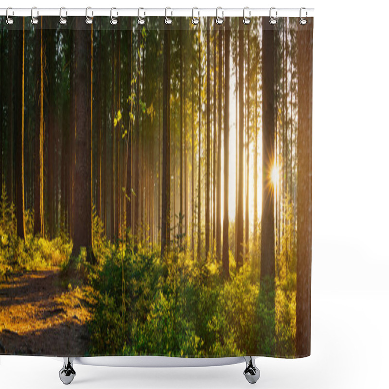 Personality  Silent Forest In Spring Shower Curtains