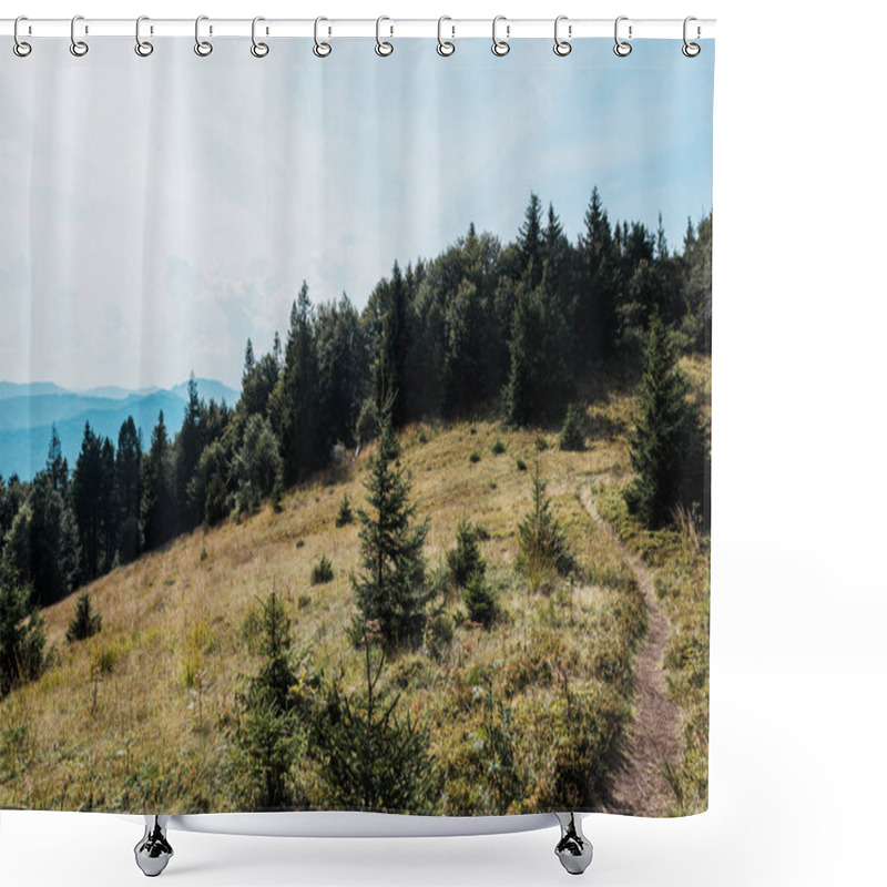 Personality  Pine Trees In Golden Field Near Walkway In Mountains  Shower Curtains