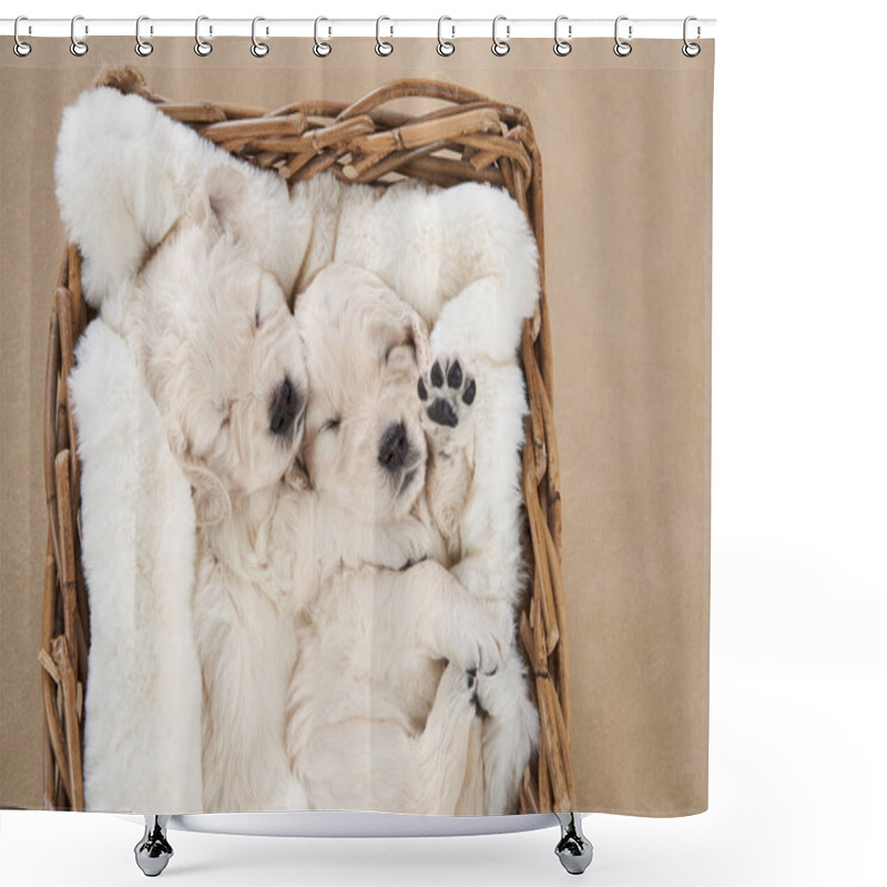 Personality  Puppies In A Basket On A Beige Background. Golden Retriever In The Studio. Cute Dog Shower Curtains