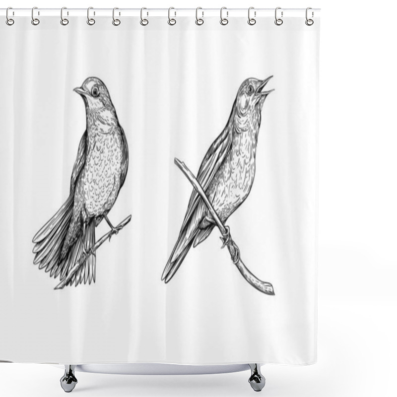 Personality  Nightingale. Set Of Elements For Design. Shower Curtains