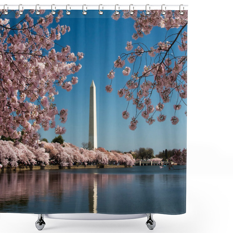 Personality  Cherry Blossom And Washington Monument Shower Curtains