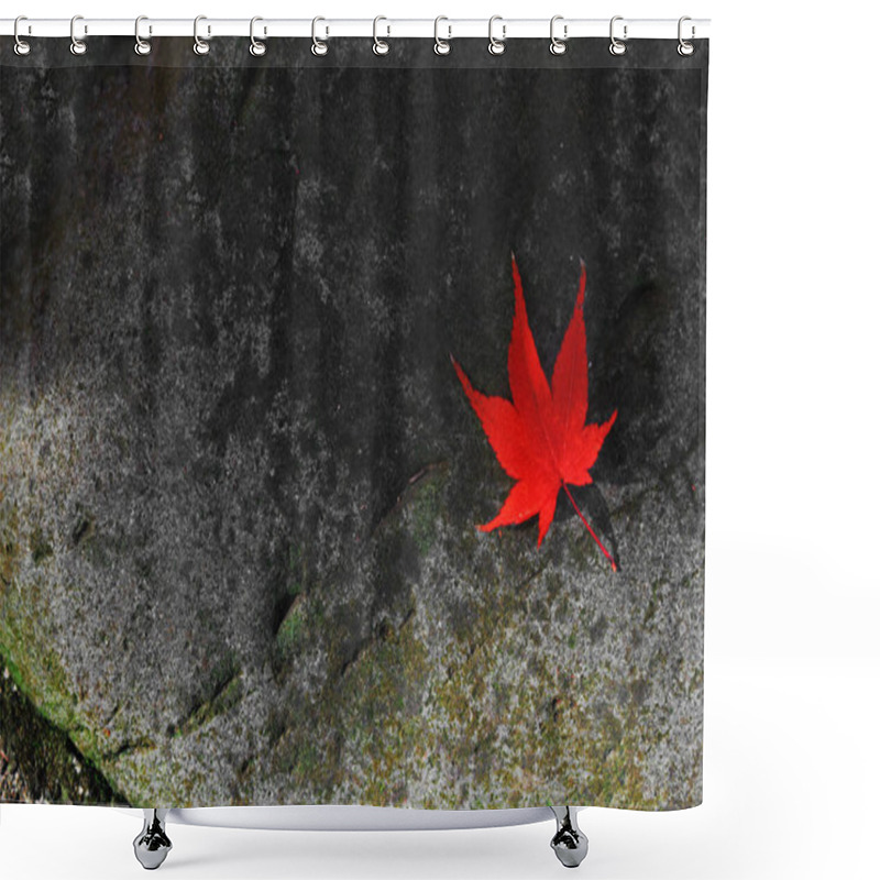 Personality  A Leaf Of Red Maple Leaves That Fell On The Rock Shower Curtains