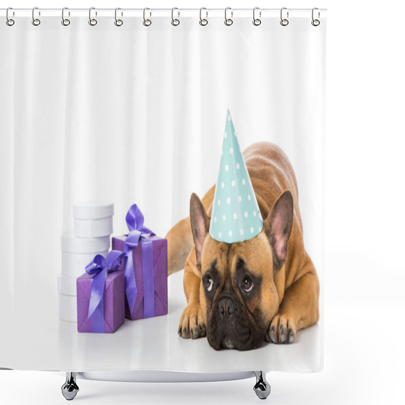 Personality  French Bulldog In Party Cone Lying Near Wrapped Gifts Isolated On White Shower Curtains