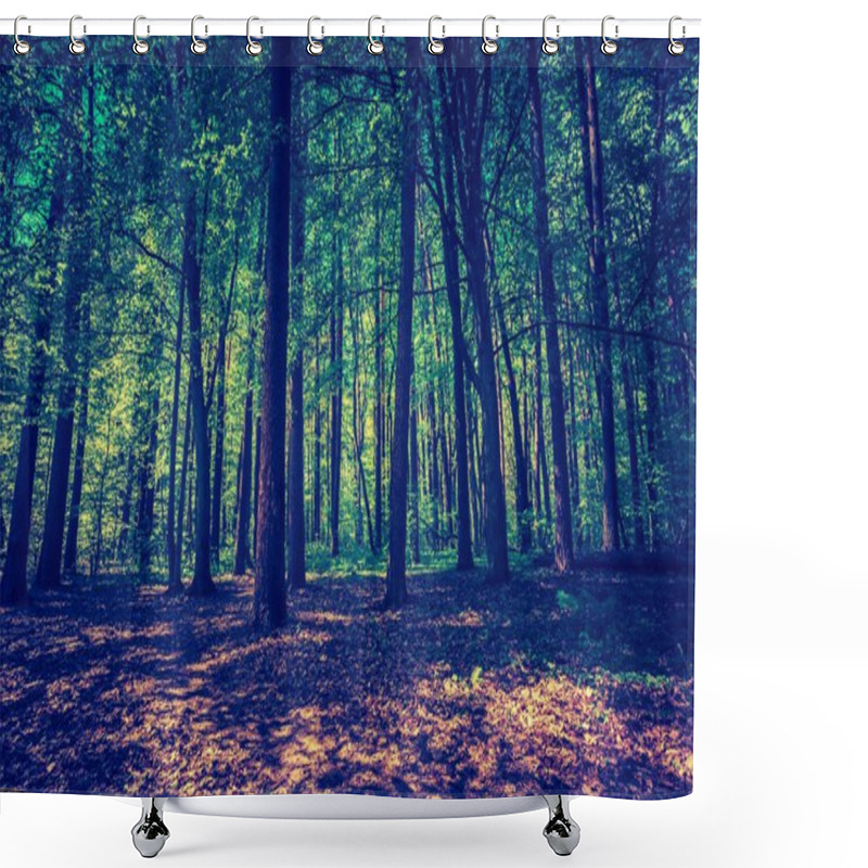 Personality  Green Springtime Forest Shower Curtains