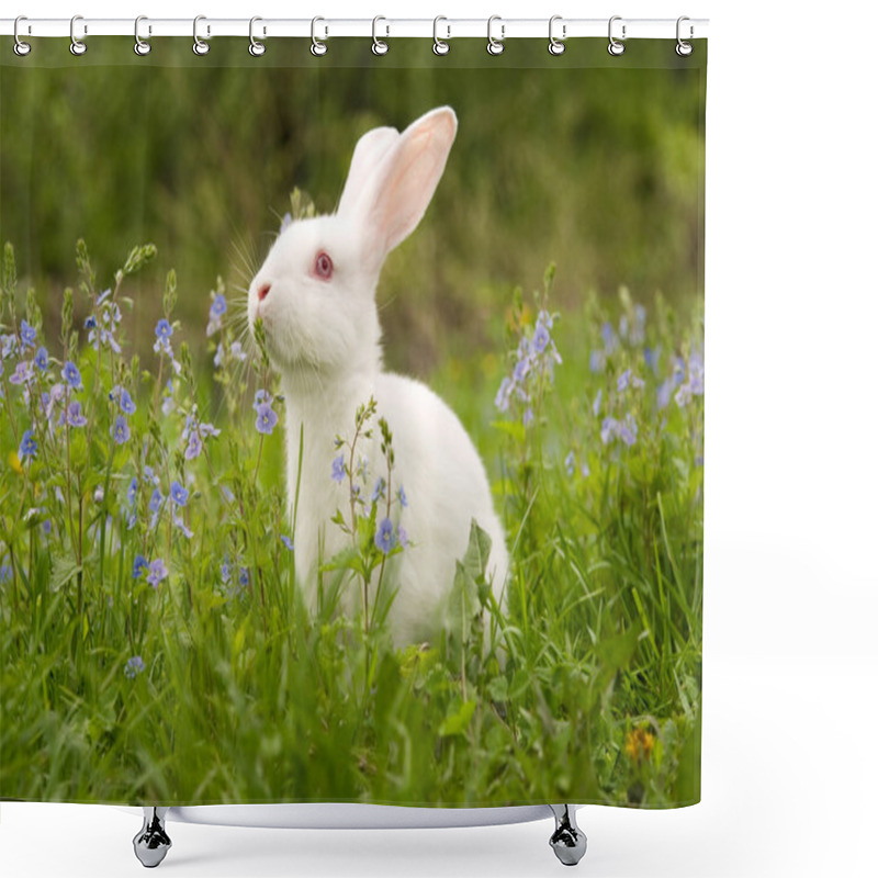 Personality  White Rabbit Shower Curtains