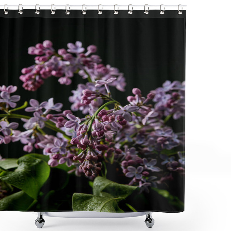 Personality  Close-up Shot Of Aromatic Spring Lilac Flowers Isolated On Black Shower Curtains