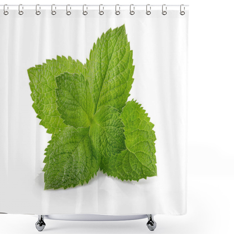 Personality  Green Brandy Mint Leaves. Fresh Aromatic Herbs Ingredient For Mo Shower Curtains