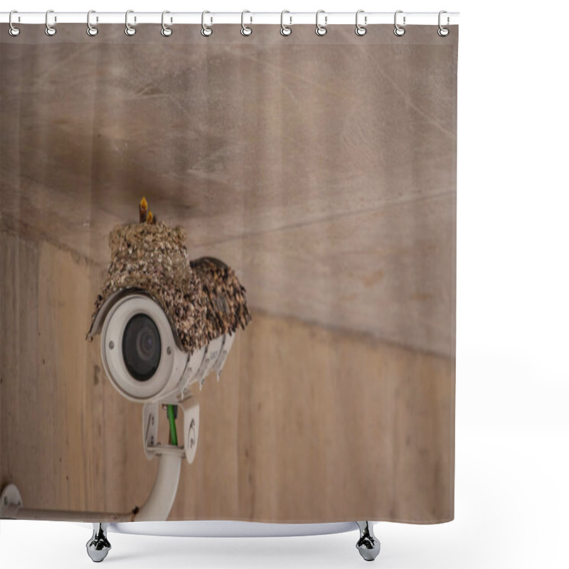 Personality  A Nest With Young Sparrow Chicks On The Top Of A Surveillance Camera In The Foz Coa Museum, Portugal Shower Curtains