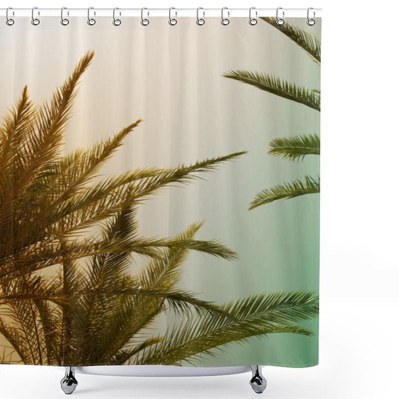 Personality  Palm Trees Against Sky. Summer, Vacation And Tropical Concept Shower Curtains