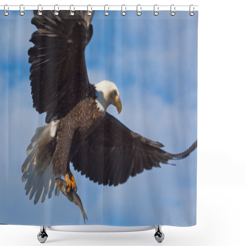 Personality  Bald Eagle Carrying A Fish Shower Curtains