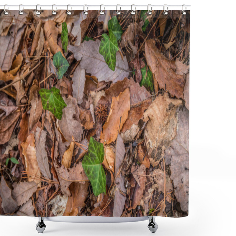 Personality  Fallen Leaves And Pine Needles Small Twigs Littering The Forest Floor With Newly Green Ivy Popping Through The Debris On A Sunny Day In Late Winter Shower Curtains