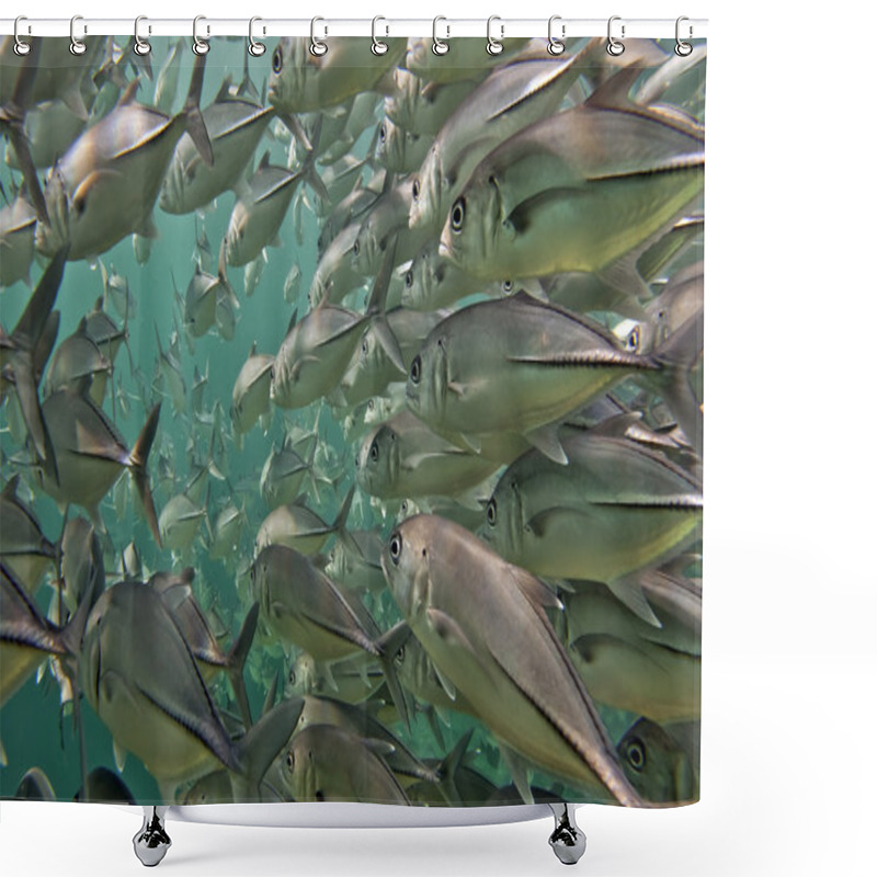 Personality  Inside A Giant Travelly Tuna School Of Fish Close Up In The Deep Blue Sea Shower Curtains