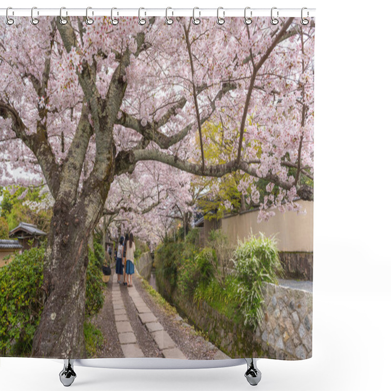 Personality  Philosopher's Walk With Sakura (cherry Blossom) In The Springtim Shower Curtains