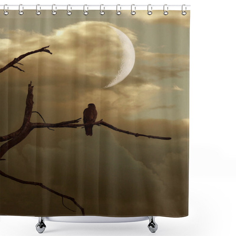 Personality  Old Tree Shower Curtains