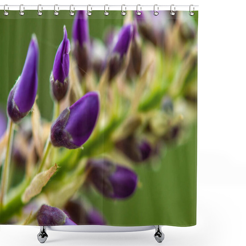 Personality  Close-up Photo Of Wisteria Sinensis Flowers, Capturing The Intricate Details And Vibrant Purple Blossoms In A Stunning Botanical Display. Shower Curtains