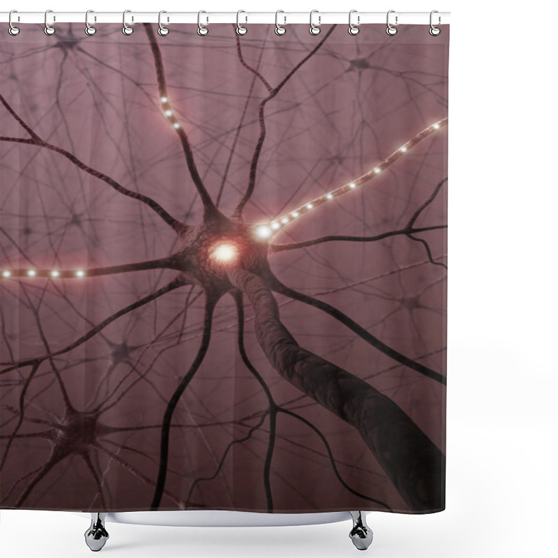 Personality  Brain With Nervous System And Neuron Shower Curtains