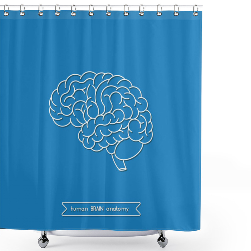 Personality  Human Brain 2 Shower Curtains