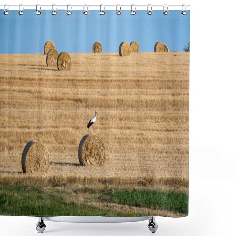 Personality  A White Stork ( Ciconia Ciconia ) Stands On A Hay Bale In A Harvested Field With A Blue Sky Shower Curtains