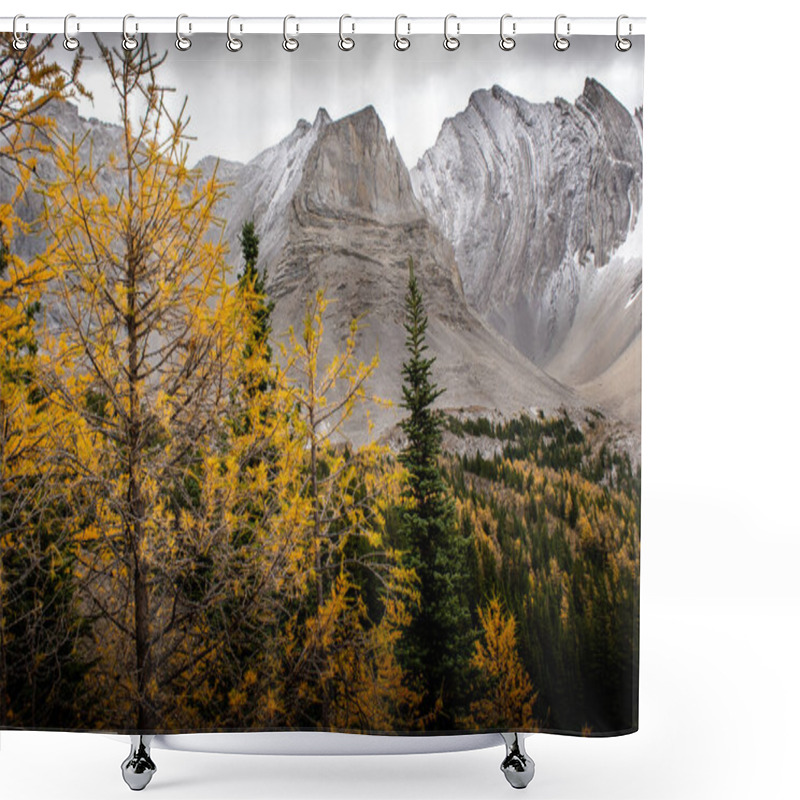 Personality  Larch Trees In Fall Colours During A Hike At Arethusa Cirque Near Banff Alberta Shower Curtains