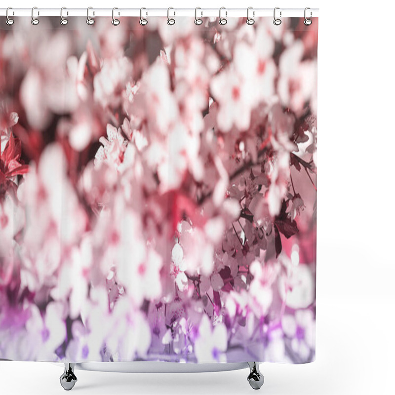 Personality  Blooming Tree With White, Pink Flowers In Morning Sunshine And Shadow, Blurred Sunlight. Soft Focus. Spring Blossom Flower Background. Shower Curtains