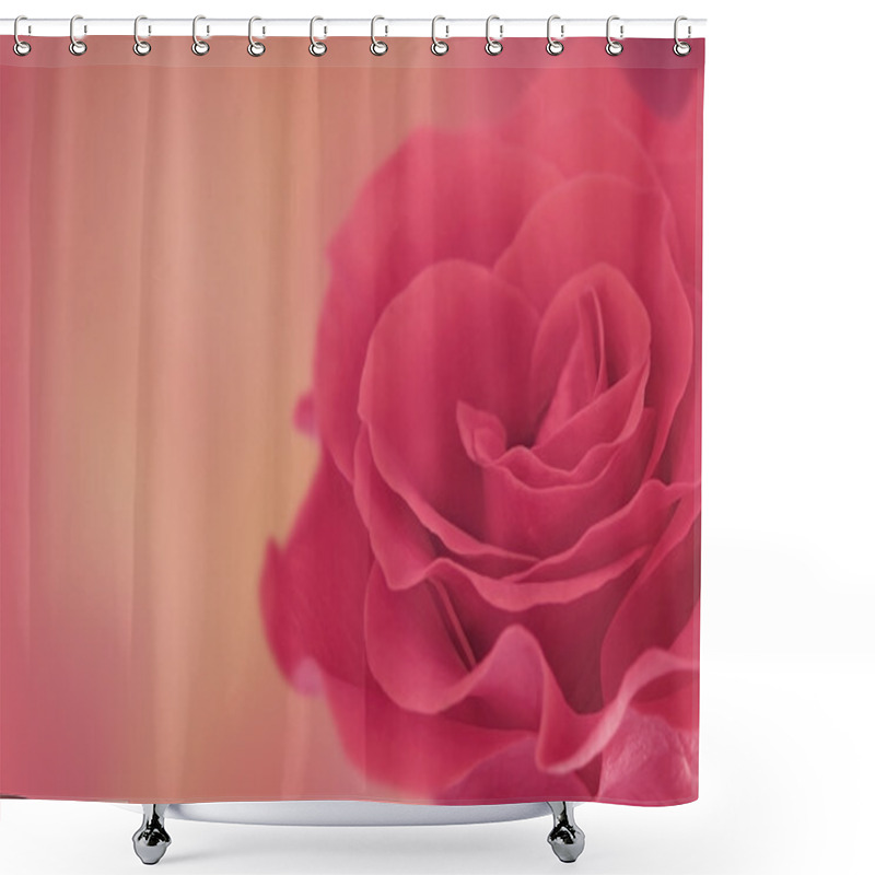 Personality  Beautiful Rose Flower Shower Curtains