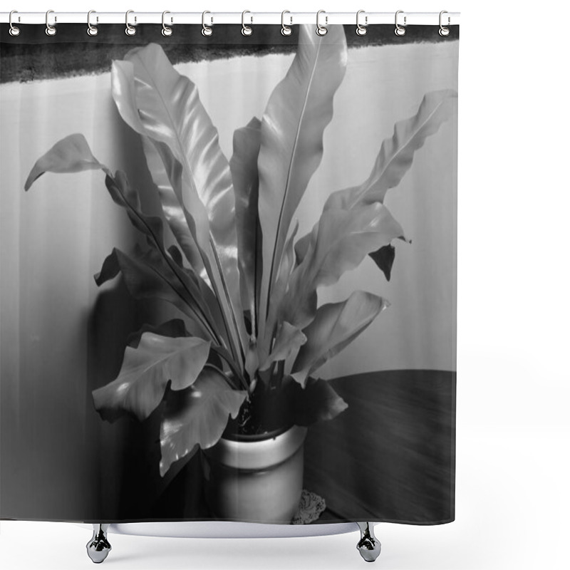 Personality  Flowers Close View, Natural Plants Black And White Photo Background Shower Curtains