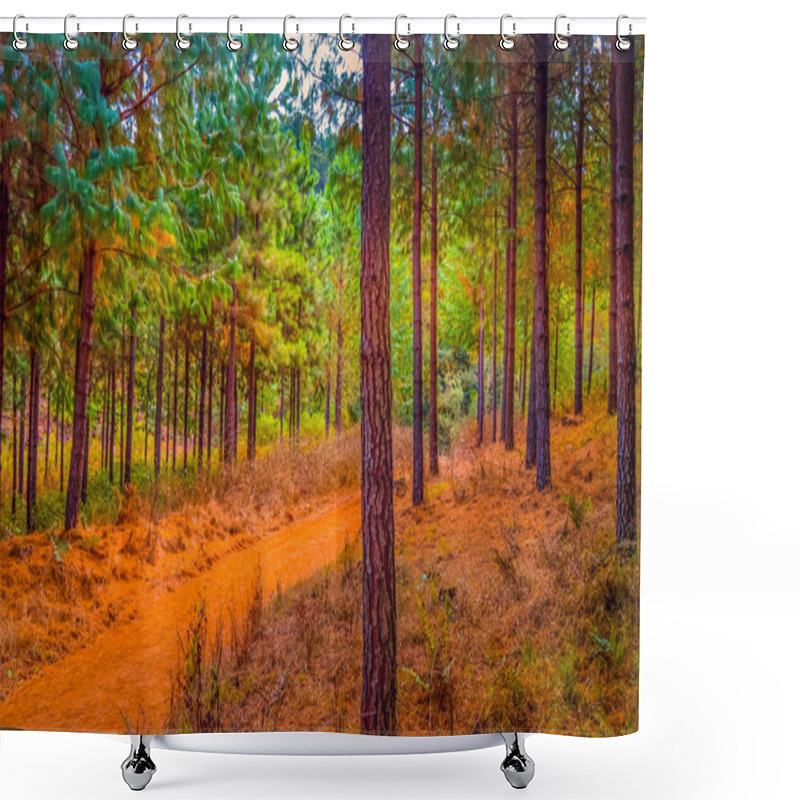 Personality  Fantasy Pine Tree Forest Plantation In Magoebaskloof South Africa Shower Curtains