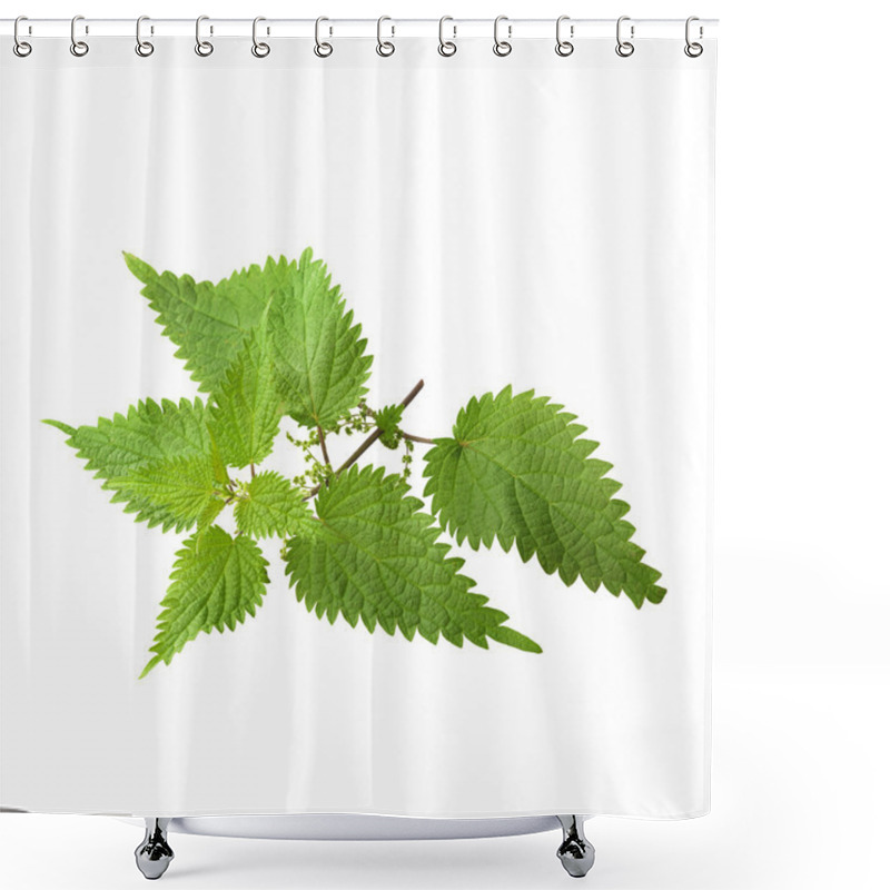 Personality  Leaves Of Nettle Shower Curtains