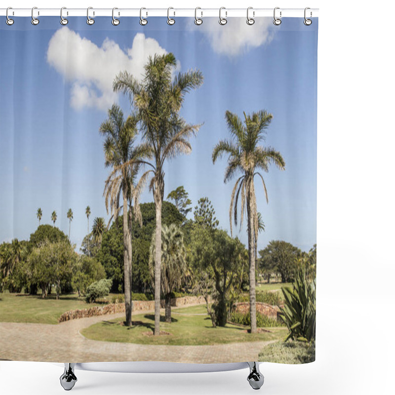 Personality  Large Tall Palm Trees In A City Park Shower Curtains