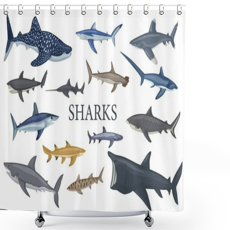 Personality  Set Shark Isolated On White Background In Flat. Different Kind Of Sharks Hammerhead, White, Leopard, Mako, Bull, Saw, Fox, Basking, Tiger. Design Sea Animals For Any Purposes. Vector Illustration. Shower Curtains