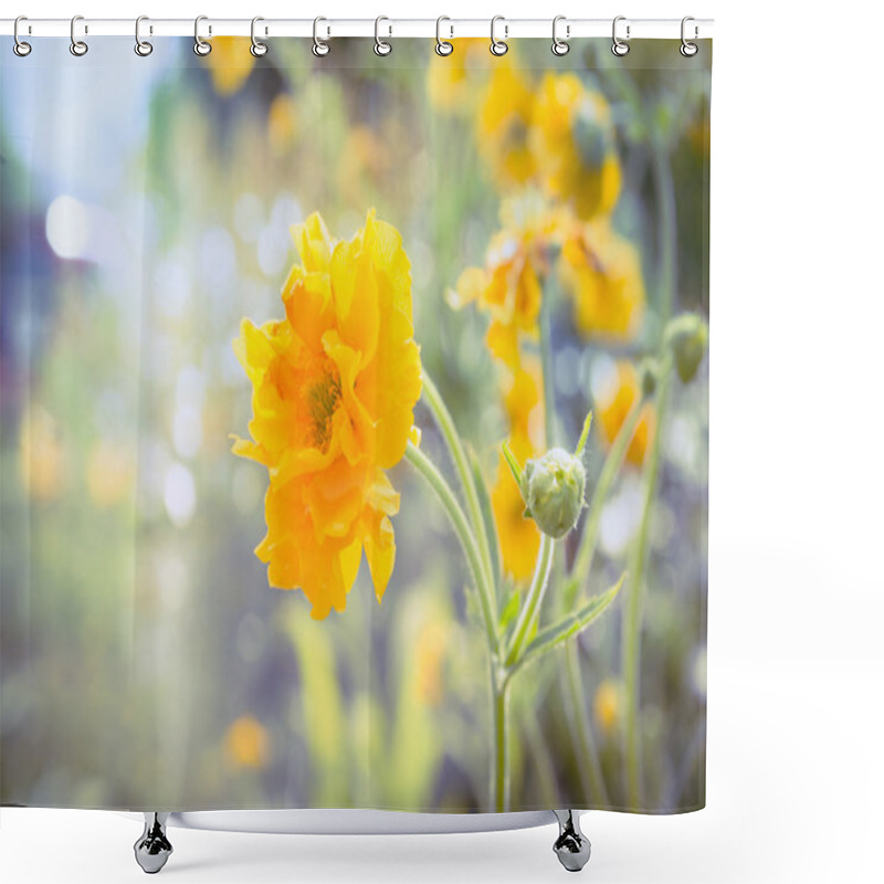 Personality  Yellow Geum Flowers Shower Curtains