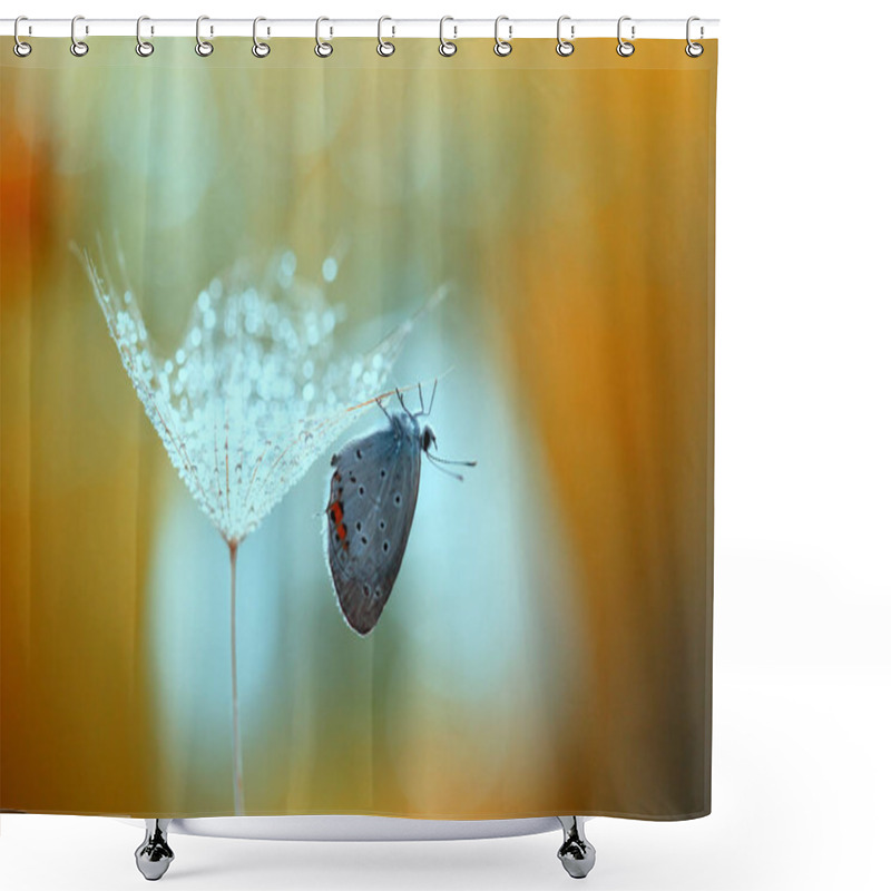 Personality  A Small Beautiful Butterfly Will Collect Pearls . Shower Curtains