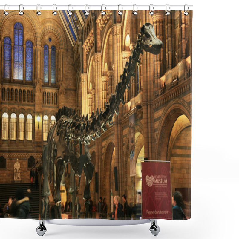 Personality  The Natural History Museum Shower Curtains